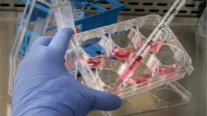 Cell Culture Supplies